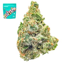 Smaller Buds-Traditional-Lolly Minis-image-1