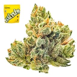 Smaller Buds-Traditional-OG Minis