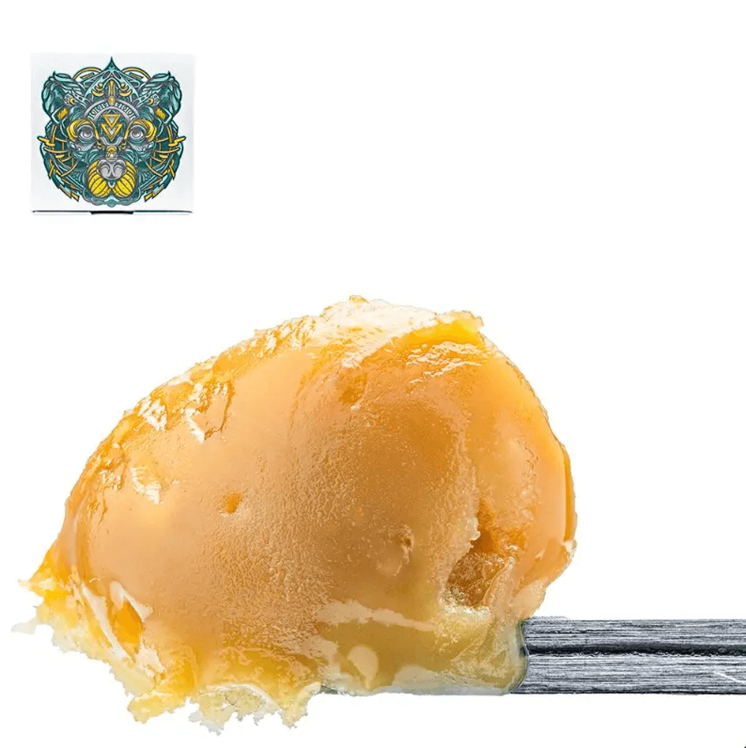 Solventless Rosin-Bear Labs-Double Papaya Runtz Live Rosin