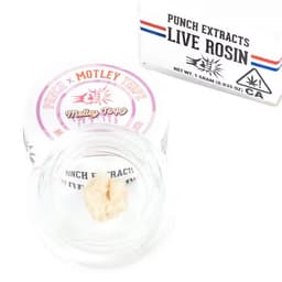 Solventless Rosin-Punch Extracts-Madd Jelly Tier 4 Live Rosin Cold Cure Badder-image-1