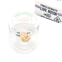 Solventless Rosin-Punch Extracts-Papaya Sherbhead Tier 4 Live Rosin Cold Cure Badder-image-1