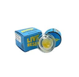 Sugar-Wavvy Supply Co.-BLUE GUMMIEZ Live Resin Sugar-image-1